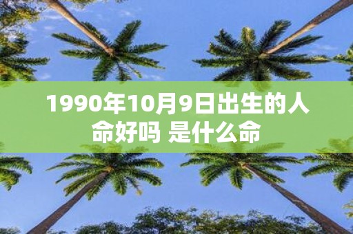 1990年10月9日出生的人命好吗 是什么命