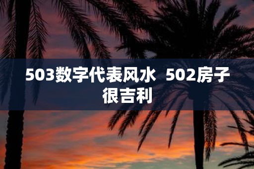 503数字代表风水 502房子很吉利
