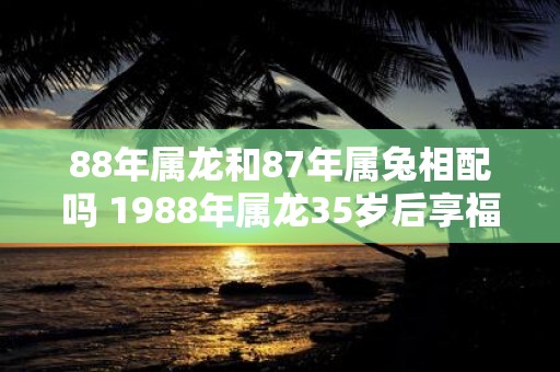 88年属龙和87年属兔相配吗 1988年属龙35岁后享福