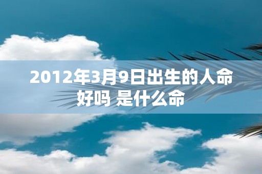 2012年3月9日出生的人命好吗 是什么命