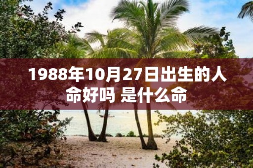 1988年10月27日出生的人命好吗 是什么命