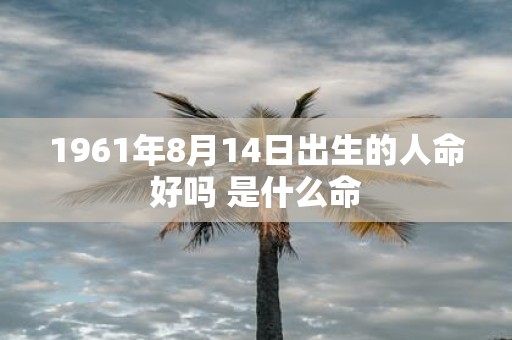 1961年8月14日出生的人命好吗 是什么命