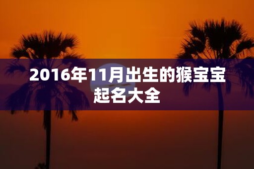 2016年11月出生的猴宝宝起名大全