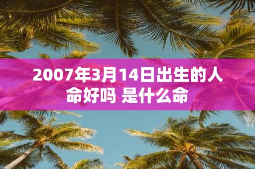 2007年3月14日出生的人命好吗 是什么命