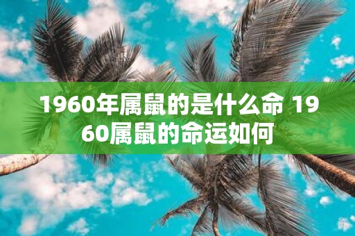 1960年属鼠的是什么命 1960属鼠的命运如何