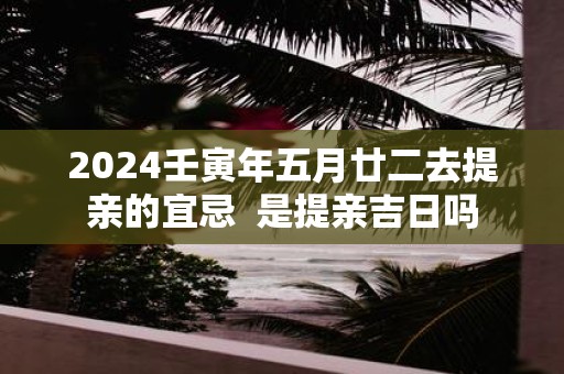 2025壬寅年五月廿二去提亲的宜忌 是提亲吉日吗