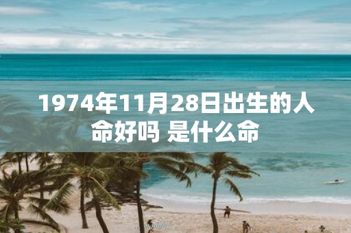 1974年11月28日出生的人命好吗 是什么命