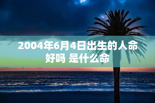 2004年6月4日出生的人命好吗 是什么命