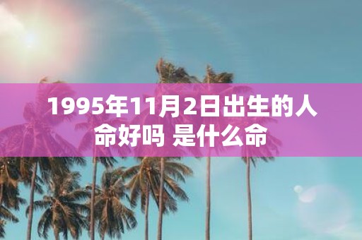1995年11月2日出生的人命好吗 是什么命