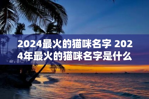 2025最火的猫咪名字 2025年最火的猫咪名字是什么