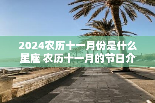 2025农历十一月份是什么星座 农历十一月的节日介绍