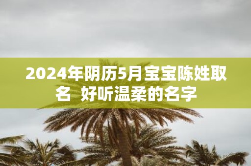 2025年阴历5月宝宝陈姓取名 好听温柔的名字