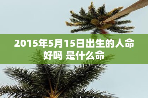 2015年5月15日出生的人命好吗 是什么命