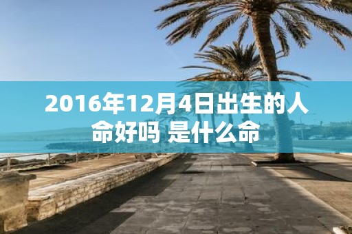 2016年12月4日出生的人命好吗 是什么命