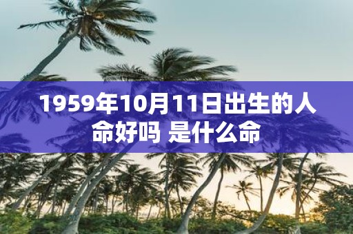 1959年10月11日出生的人命好吗 是什么命