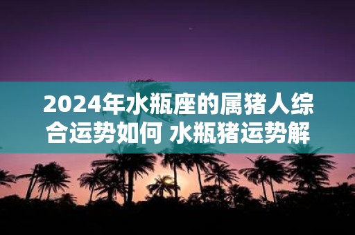 2025年水瓶座的属猪人综合运势如何 水瓶猪运势解析