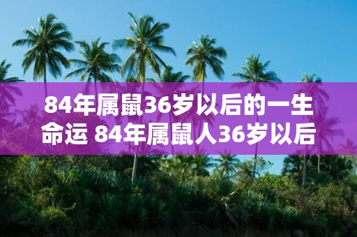 84年属鼠36岁以后的一生命运 84年属鼠人36岁以后运势