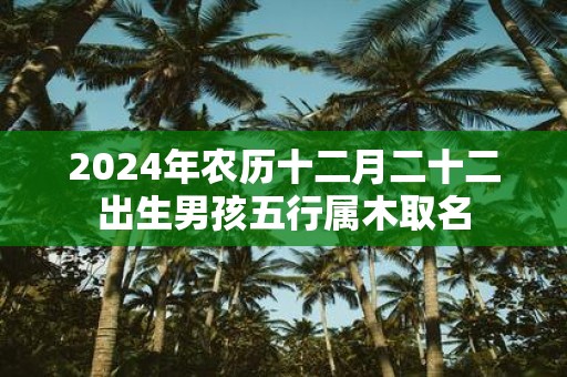 2025年农历十二月二十二出生男孩五行属木取名