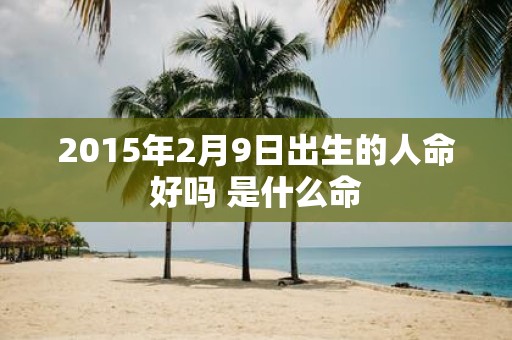 2015年2月9日出生的人命好吗 是什么命