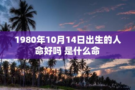 1980年10月14日出生的人命好吗 是什么命