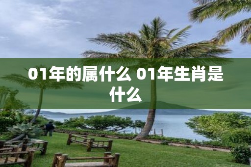 01年的属什么 01年生肖是什么