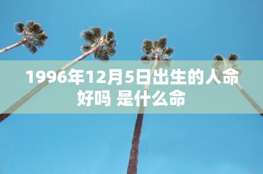 1996年12月5日出生的人命好吗 是什么命