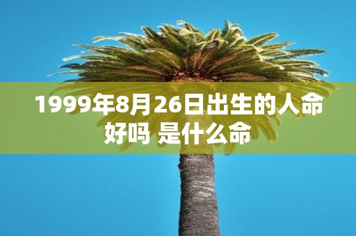 1999年8月26日出生的人命好吗 是什么命