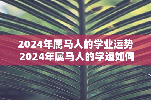 2025年属马人的学业运势 2025年属马人的学运如何