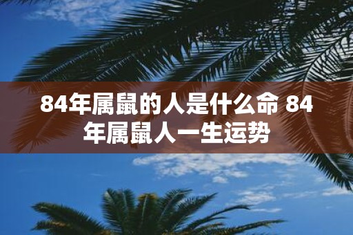 84年属鼠的人是什么命 84年属鼠人一生运势