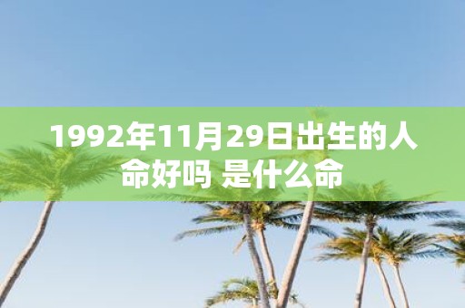 1992年11月29日出生的人命好吗 是什么命