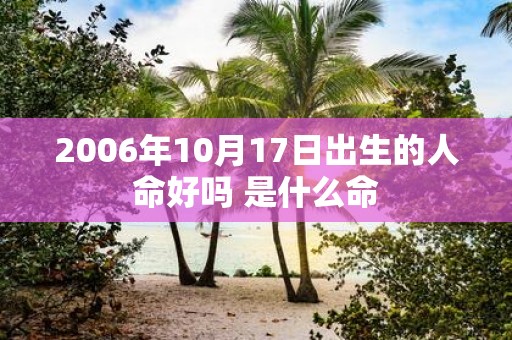 2006年10月17日出生的人命好吗 是什么命