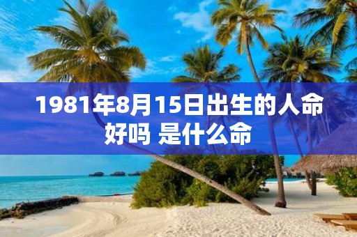 1981年8月15日出生的人命好吗 是什么命
