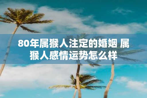 80年属猴人注定的婚姻 属猴人感情运势怎么样