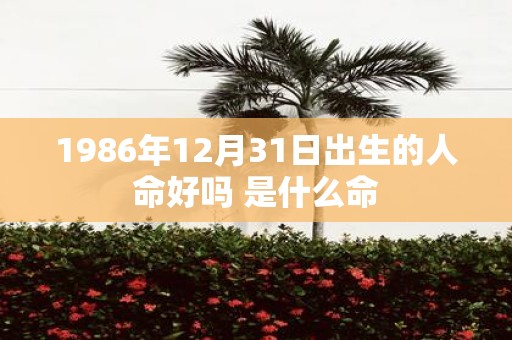 1986年12月31日出生的人命好吗 是什么命