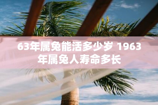 63年属兔能活多少岁 1963年属兔人寿命多长