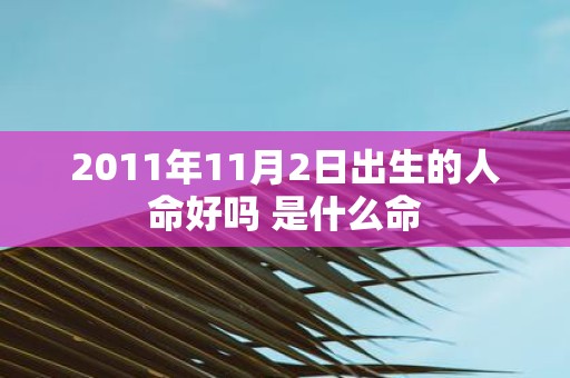 2011年11月2日出生的人命好吗 是什么命