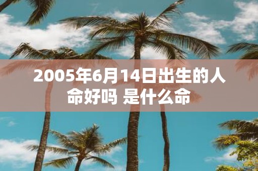 2005年6月14日出生的人命好吗 是什么命
