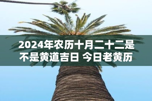 2025年农历十月二十二是不是黄道吉日 今日老黄历如何