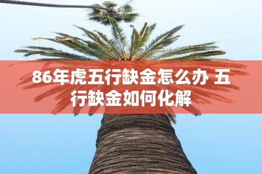 86年虎五行缺金怎么办 五行缺金如何化解