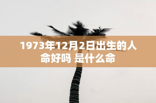1973年12月2日出生的人命好吗 是什么命