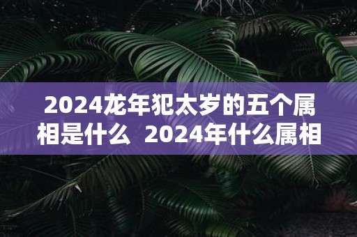 2025蛇年犯太岁的五个属相是什么 2025年什么属相犯太岁