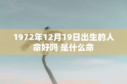 1972年12月19日出生的人命好吗 是什么命