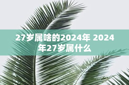 27岁属啥的2025年 2025年27岁属什么