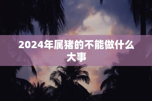 2025年属猪的不能做什么大事