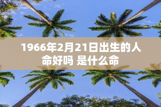 1966年2月21日出生的人命好吗 是什么命