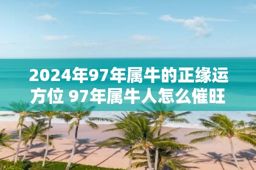 2025年97年属牛的正缘运方位 97年属牛人怎么催旺桃花