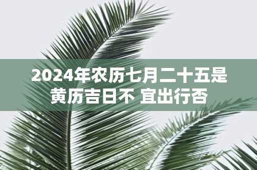 2025年农历七月二十五是黄历吉日不 宜出行否