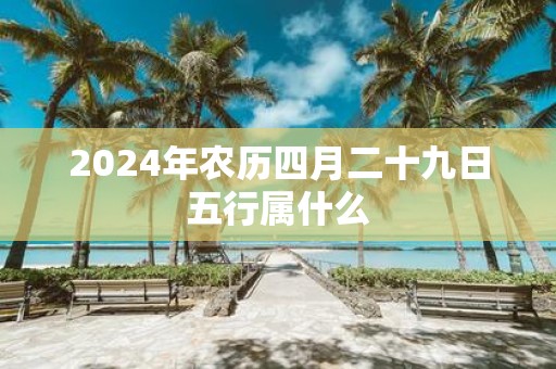 2025年农历四月二十九日五行属什么
