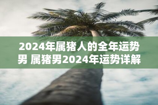 2025年属猪人的全年运势男 属猪男2025年运势详解