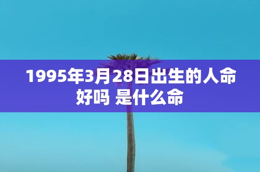 1995年3月28日出生的人命好吗 是什么命